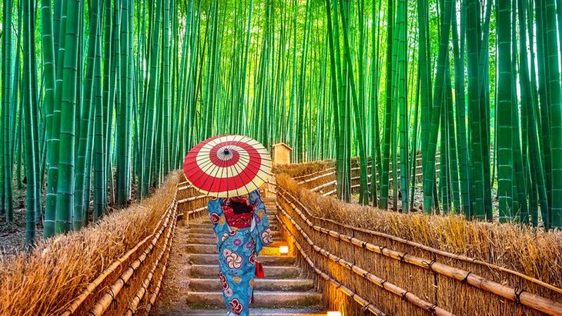 JAPONYA - GÜNEY KORE TURU 